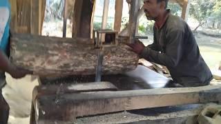 Dangeroous & Toughest Wood Cutting Machine।Dangerous Mahognay Wood Cutting Deisel Machine in Asias