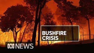 Government invests $20 million for four extra firefighting aircraft | ABC News