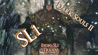 DS2 SL1: Очень долго я возился с этою хуйнёй. Что не трай так быстро слился, даже не дошёл