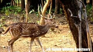 Top 10 Place to Visit in Jamshedpur 2021