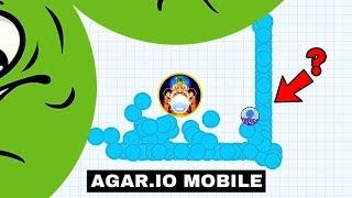 CHALLENGE YOUR IQ! ( AGAR.IO MOBILE )