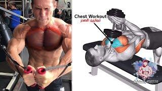 أقوى 7 تمارين الصدرً كمال الاجسام (تضخيمه وتعريضه) - Chest day workout