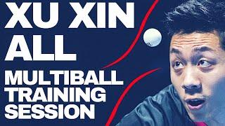 XU XIN ALL MULTIBALL TRAINING SESSION - TABLE TENNIS CHINESE TRAINING