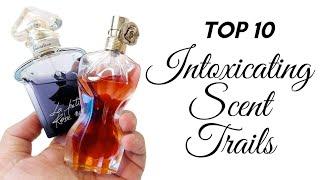 TOP 10 MOST INTOXICATING SCENT TRAIL PERFUMES | Perfume Collection