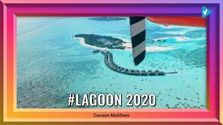 Top 10 #lagoon Posts & Updates, Starring: cocoonmaldives