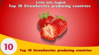 Top 10 Strawberries Exporters by Country 2020