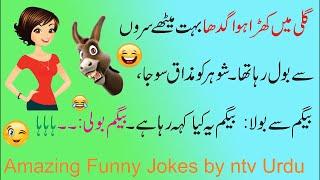 top 10 weekly bundle funny and entertaining video by ntv urdu for people 2020