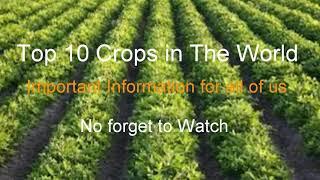 Top 10 Crops producing Country in world | Amazing world facts you have to know!