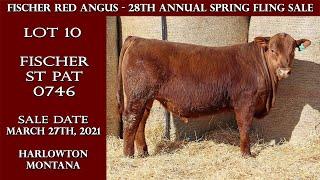 Lot 10 - Fischer St Pat 0746 | Fischer Red Angus Bull Sale 2021