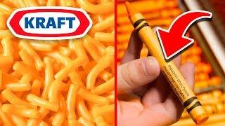 10 Mac and Cheese FACTS You Would Never Expect