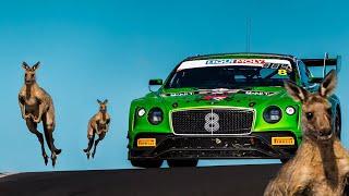 Kangaroos invade Bathurst! Supercut of Kangaroo moments from 2020 Bathurst 12 Hour #B12hr