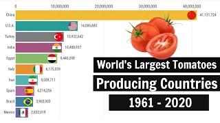 World's Largest Tomatoes Producing Countries 1961 - 2020