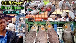 Shyambazar Pet Market, Galiff Street Visit and Price Update ||  The Biggest Bird Market In Asia