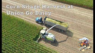 2019 Corn Silage Harvest at Union Go Dairy