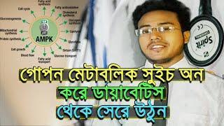 ডায়াবেটিস সম্পর্কে এটি এখন পর্যন্ত করা সবচেয়ে গুরুত্বপূর্ণ আবিষ্কার!!