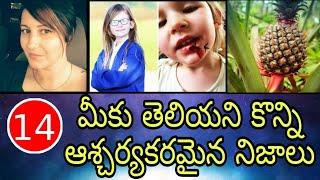 Top 10 INTERSTING AND UNKNOWN FACTS IN TELUGU | TOP AMAZING FACTS | MD FACTS | EPISODE - 14