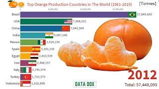 Top 10 Orange Production Country in The World