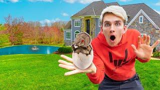 POND MONSTER EGG FOUND while EXPLORING ORIGINAL SHARER FAM HOUSE?!