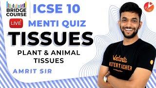 Tissues: Plant Tissues and Animal Tissues | Biology Bridge Course - ICSE Class 10 Science | Vedantu