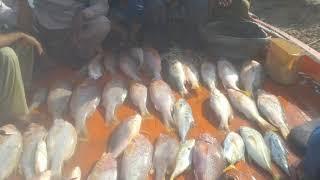 Amazing Fishing KaraChi Top 10 PlaCe