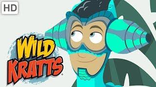 Wild Kratts - Weirdest Animals! (Part 2/2) | Kids Videos