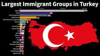 The Largest Immigrant Groups in Turkey (By country of birth from 1960 to 2020)