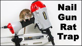 Nail Gun Rat Trap - Mousetrap Monday