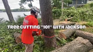 Tree Cutting Master Class- Top Service Tree Trimming-