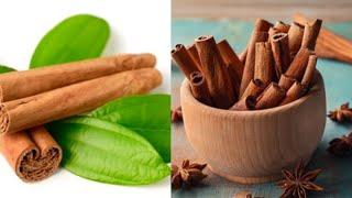 Top 10 Health Benefits of Cinnamon For Weight Loss, Fat Burning & More