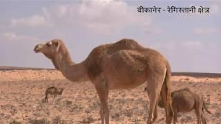 Top -10 Desert's  Area in INDIA. टॉप -10 रेगिस्तानी- क्षेत्र भारत मे.....