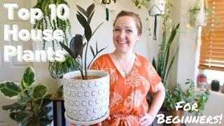 Top 10 House Plants for Beginners