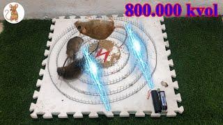 amazing idea - Membuat perangkap tikus mudah | | Top 10 piège à souris électrique