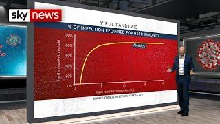 COVID-19: What is herd immunity?