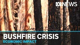 Reserve Bank governor sees coronavirus and bushfires as short-term economic speedbumps | ABC News