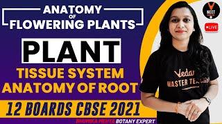 Anatomy Of Flowering Plants | Plant Tissue System & Anatomy Of Root | 12th Board Exam 2021 | Vedantu