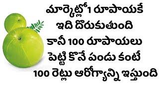 Amla(Usirikaya) Health Benefits in Telugu - Top 10Health Tips in Telugu - Healthy Life