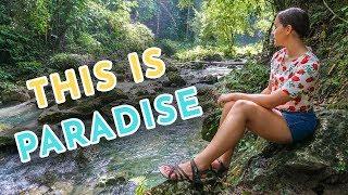 Kawasan Falls Hidden Secrets