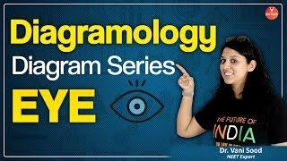 Eye Diagram Explanation | How to Draw Human Eye | Pattern & Interpretation of Eye Diagram Eye | NEET