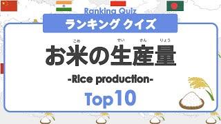 【世界ランキング クイズ】 お米の生産量Top10 ◉ 米大国 ◉ 稲作 ◉ 農業 ◉ 世界 ◉ 知育 ◉ 教育 ◉ こども向けアニメ ◉ 小学生 ◉ rice production ◉ 地理