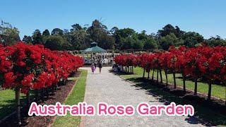 Top 10 Best place to visit in Melbourne l #1 Rose Garden l 호주 멜버른에서 반드시 가봐야되는 여행지 | 첫번째 장소 장미 정원 l