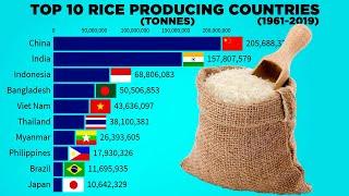 Top 10 Rice Producing Countries in the World (1961-2019)