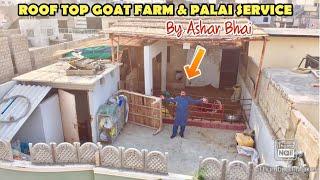 OVER 10 YEARS EXPERIENCE ROOF TOP GOAT FARMER | ASHAR BHAI STARTED PALAI SERVICE 2020