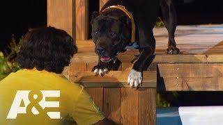 Pitbull Mix Leonittis Conquers His Fear of Water | America's Top Dog (Season 1) | A&E