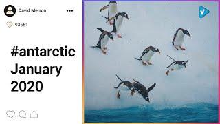 Top 10 #antarctic Posts Starring: davidmerron