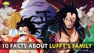 Top 10 Facts You Should Know About Monkey D Luffy's Family