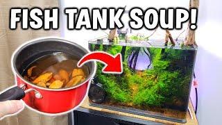 I Made FISH TANK SOUP... (here's why)