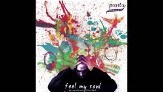 Pantu - Feel My Soul | Jazz Soul Funk Mixtape