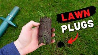 Repair Lawn Patches & Weeds with Grass Seed Plugs