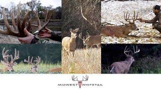 Best of Midwest Whitetail 2019-2020 | Deer Hunting Giant Bucks | Realtree 365