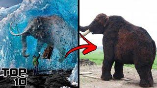 Top 10 Extinct Animals Found Alive In 2020